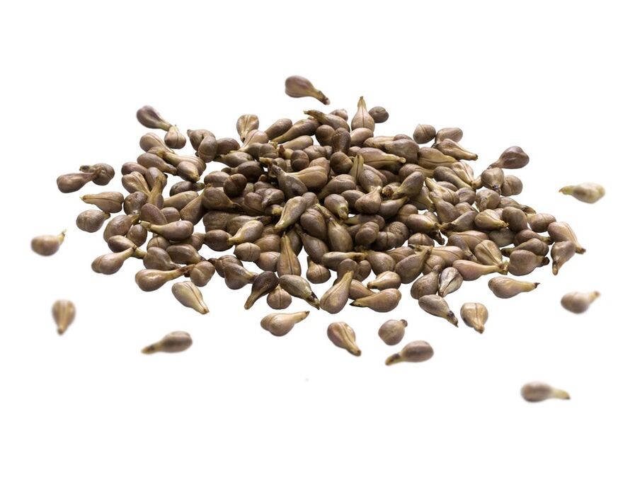 ZXCVBNMQWT cream contains grape seed oil